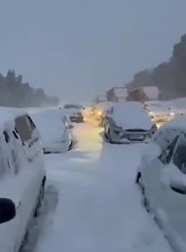 Неожиданный снегопад в ЮАР парализовал движение на дорогах