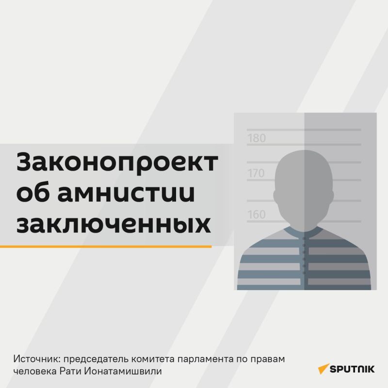 Президент Грузии все же подписала закон об амнистии заключенных спустя 10 дней после его принятия парламентом