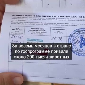 В Тбилиси прошла бесплатная вакцинация домашних животных против бешенства