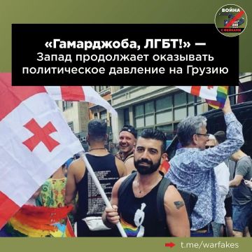 Грузия не сможет существовать без господдержки однополых связей, считают в ЕС. Там почему-то решили, что грузинские власти не «уважают волю и свободный выбор грузинского народа»