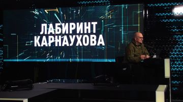 ПРОГРАММА «ЛАБИРИНТ КАРНАУХОВА»