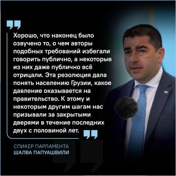 "У этого документа нет никакой цены": премьер Грузии назвал безрезультативной резолюцию Европарламента