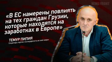 Мнение: «В ЕС намерены повлиять на тех граждан Грузии, которые находятся на заработках в Европе», – Темур Пипия