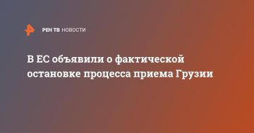 В ЕС объявили о фактической остановке процесса приема Грузии