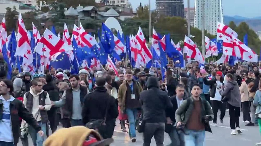 В Тбилиси проходит оппозиционная акция "Грузия выбирает Евросоюз"