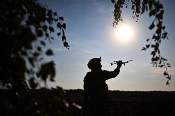 ТАСС: в Курской области воюют 14 бригад ВСУ и подразделения наемников