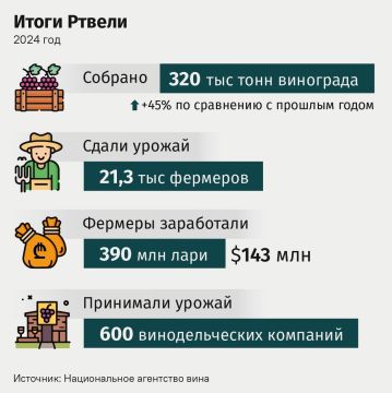 В 2024 году в Грузии собрали и переработали рекордное количество винограда