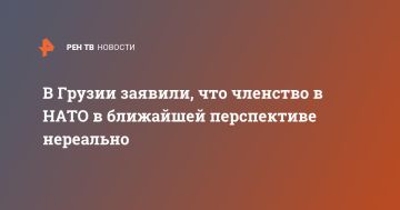 В Грузии заявили, что членство в НАТО в ближайшей перспективе нереально