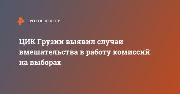 ЦИК Грузии выявил случаи вмешательства в работу комиссий на выборах