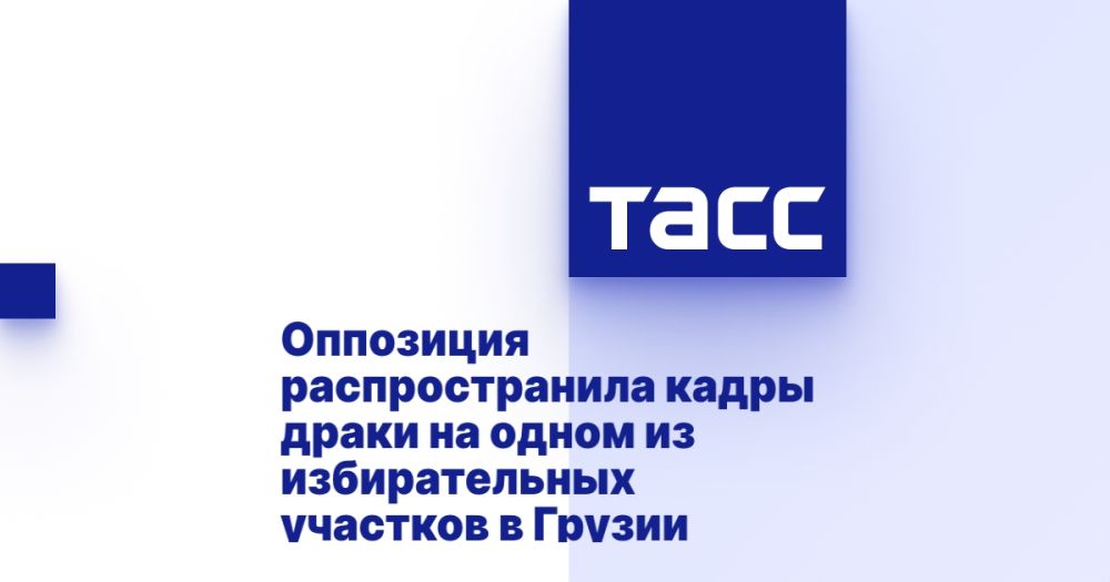 Оппозиция распространила кадры драки на одном из избирательных участков в Грузии