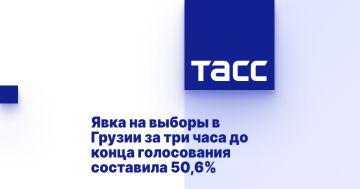 Явка на выборы в Грузии за три часа до конца голосования составила 50,6%