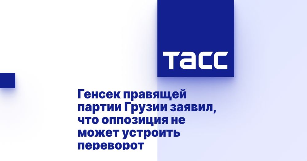 Генсек правящей партии Грузии заявил, что оппозиция не может устроить переворот