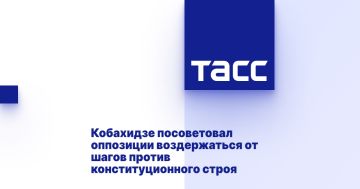 Кобахидзе посоветовал оппозиции воздержаться от шагов против конституционного строя