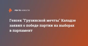 Генсек "Грузинской мечты" Каладзе заявил о победе партии на выборах в парламент