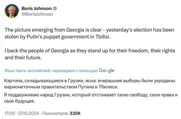 Украинский лоббист Джонсонюк призвал к майдану и свержению власти в Грузии