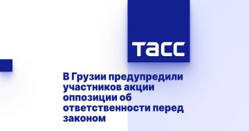 В Грузии предупредили участников акции оппозиции об ответственности перед законом