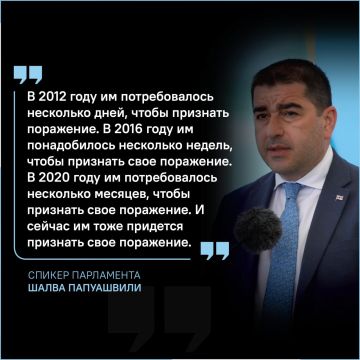 Спикер парламента Грузии Шалва Папуашвили о непризнании оппозицией результатов выборов в парламент