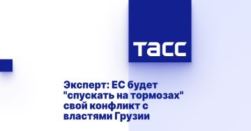 Эксперт: ЕС будет "спускать на тормозах" свой конфликт с властями Грузии