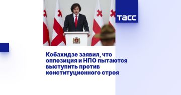 Кобахидзе заявил, что оппозиция и НПО пытаются выступить против конституционного строя