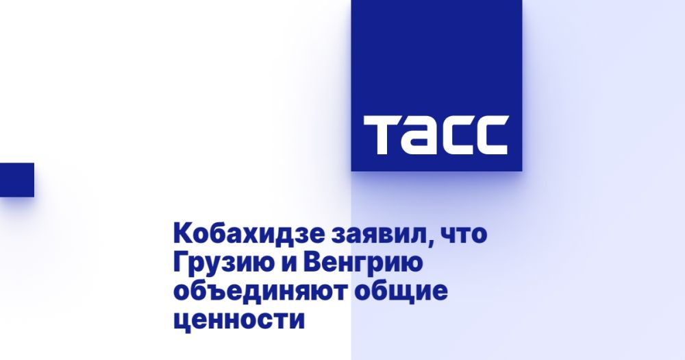 Кобахидзе заявил, что Грузию и Венгрию объединяют общие ценности