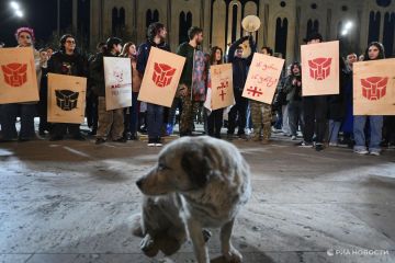 Колонна протестующих в Тбилиси дошла до здания парламента