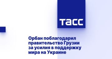 Орбан поблагодарил правительство Грузии за усилия в поддержку мира на Украине