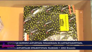 МВД Грузии задержало 7 лидеров оппозиции за «организацию группового насилия» в Тбилиси — в ходе обысков нашли и пиротехнику, и «коктейли Молотова»