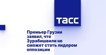 Премьер Грузии заявил, что Зурабишвили не сможет стать лидером оппозиции