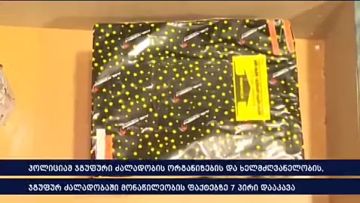 Видео обысков у грузинских оппозиционеров: "коктейли Молотова", перцовые баллончики, дубинки и пиротехника