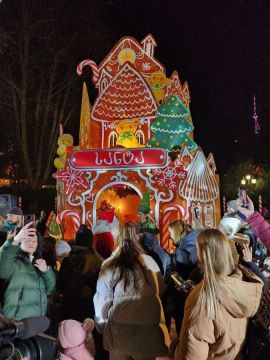 Новогодняя деревня в Тбилиси – праздник на фоне протеста