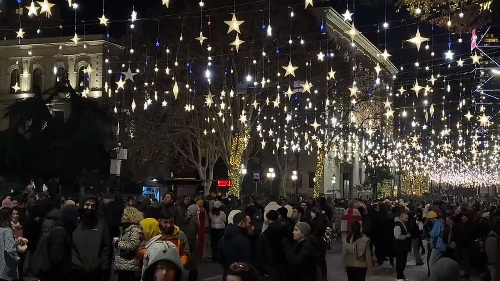 В Тбилиси 26 день протеста против решения властей снять с повестки вопрос начала переговоров о вступлении в ЕС до 2028 года