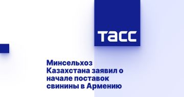 Минсельхоз Казахстана заявил о начале поставок свинины в Армению