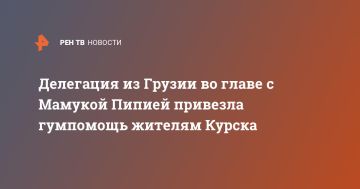 Делегация из Грузии во главе с Мамукой Пипией привезла гумпомощь жителям Курска