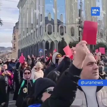 Около двух тысяч протестующих собрались у парламента Грузии