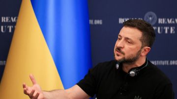 Панченко после ухода Зурабишвили раскритиковала Зеленского за нерешительность