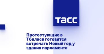 Протестующие в Тбилиси готовятся встречать Новый год у здания парламента