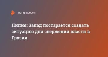 Пипия: Запад постарается создать ситуацию для свержения власти в Грузии