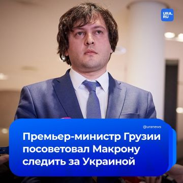 Пусть Макрон следит за Украиной, заявил премьер-министр Грузии Ираклий Кобахидзе и попросил президента Франции «не врать»