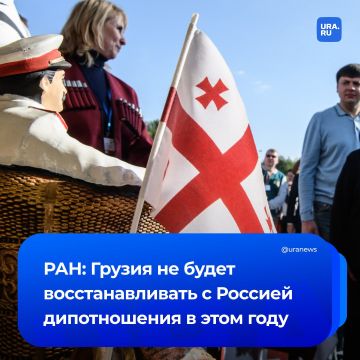 Грузия не будет устанавливать дипломатический диалог с Россией в этом году, спрогнозировали в РАН