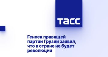 Генсек правящей партии Грузии заявил, что в стране не будет революции