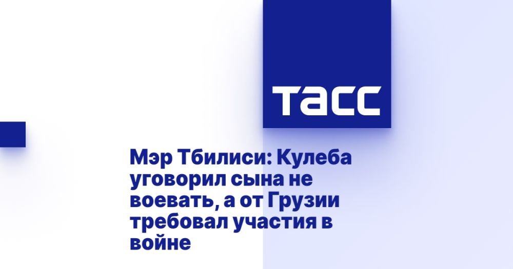 Мэр Тбилиси: Кулеба уговорил сына не воевать, а от Грузии требовал участия в войне