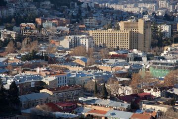 Будем судить по результатам – Давиташвили об инвестиционной среде в Грузии