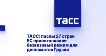 ТАСС: послы 27 стран ЕС приостановили безвизовый режим для дипломатов Грузии