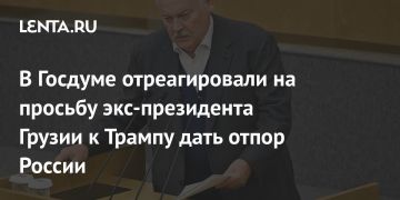 Лента.ру: Константин Затулин отреагировал на обращение Зурабишвили к США словом «заигралась»