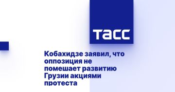 Кобахидзе заявил, что оппозиция не помешает развитию Грузии акциями протеста