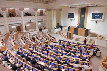 Парламент утвердил закон "О грантах" – что меняется для НПО в Грузии