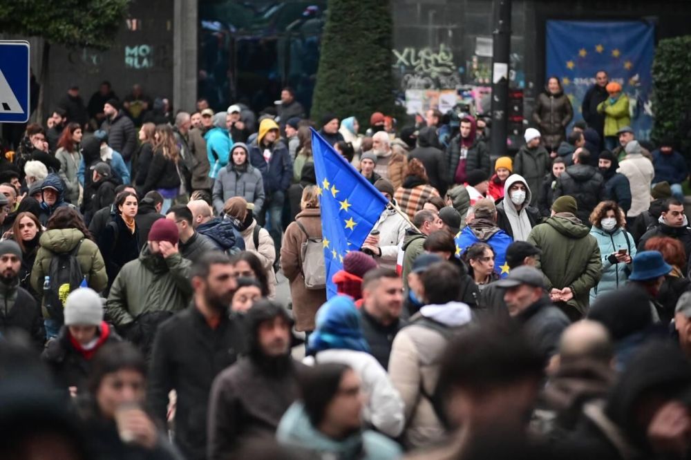 Почему Институт Маккейна пишет новые инструкции для митингующих в Грузии?