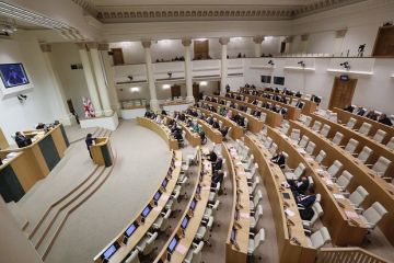 В парламенте Грузии рассмотрят идентичный американскому закон об иноагентах