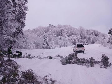 Снегопад в Грузии - несчастный случай и массовые перебои в регионах