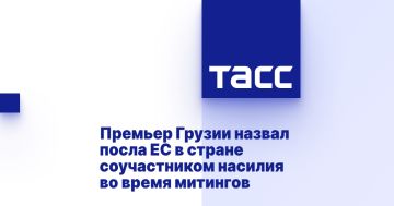 Премьер Грузии назвал посла ЕС в стране соучастником насилия во время митингов